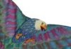 oodle oodle eagle kite
